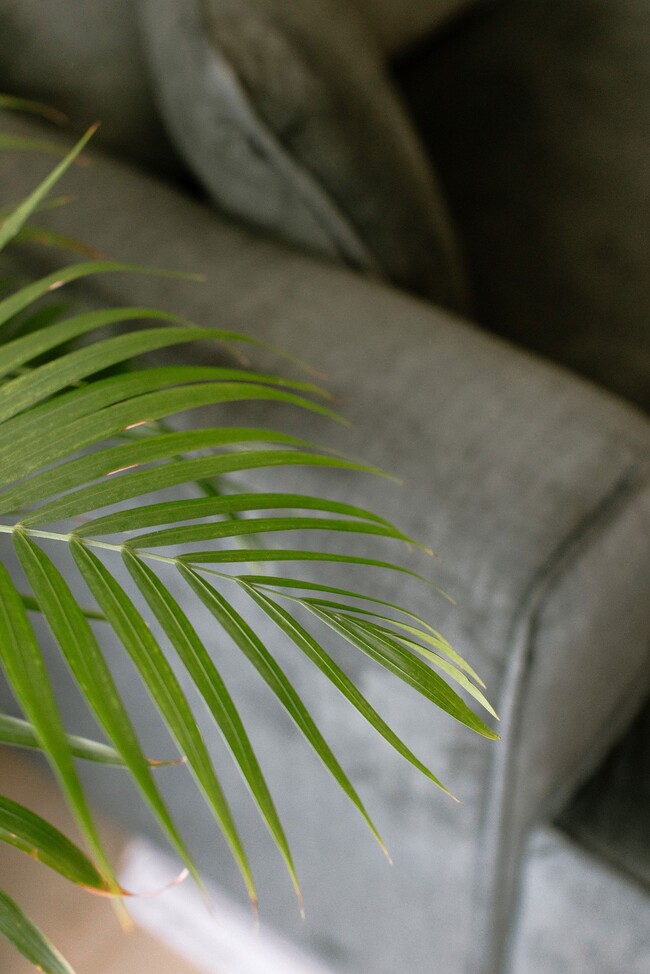 neutral-bedroom-meta-titlu-139