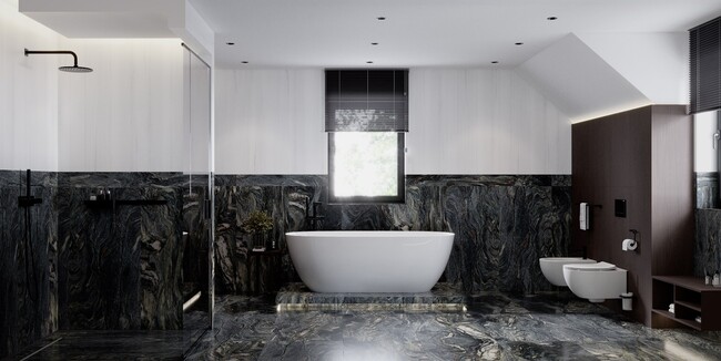 proiect-meta-titlu-196